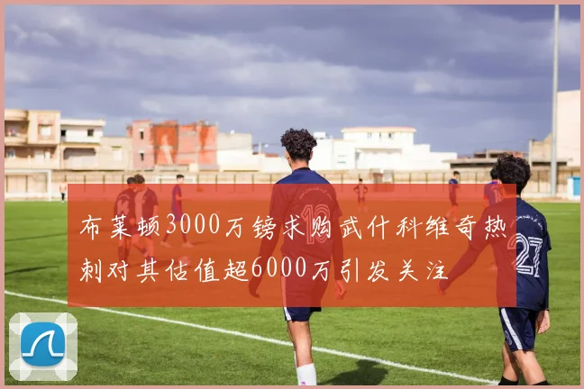 布莱顿3000万镑求购武什科维奇热刺对其估值超6000万引发关注