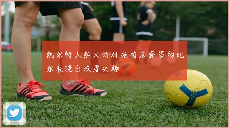 凯尔特人热火均对老将底薪签约比尔表现出浓厚兴趣