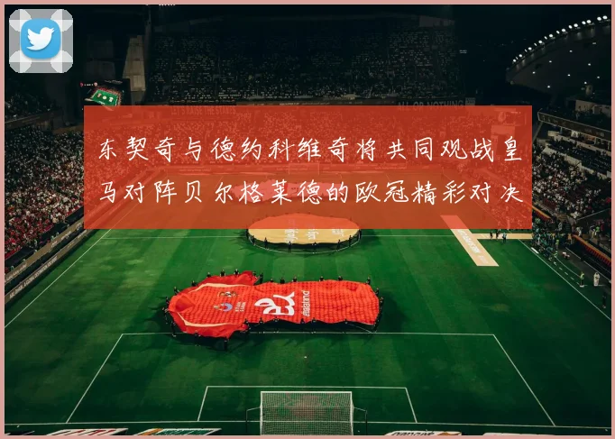 东契奇与德约科维奇将共同观战皇马对阵贝尔格莱德的欧冠精彩对决